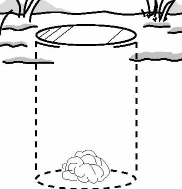traps for capturing shrews
